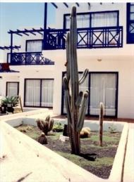 Appartementen Las Gaviotas Corralejo