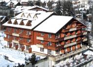Arena Hotel Steinmattli Foto 1