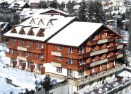 Arena Hotel Steinmattli Adelboden-Lenk