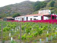 Finca La Salud Gran Canaria