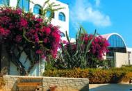 Hotel Kosta Mare Palace Resort & Spa Analypsi