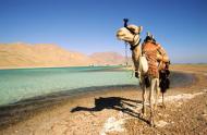 Egypte