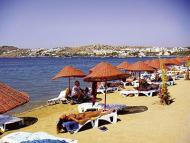 Jiba Alanya