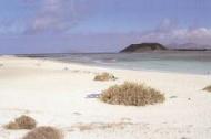 Corralejo