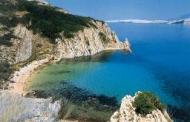 Dalmati�