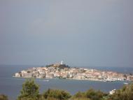 Dalmati�