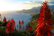 Funchal