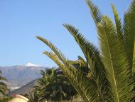 Golf del Sur