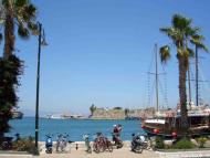 Jiba Kos-Stad
