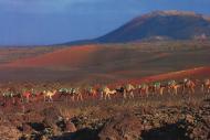 Lanzarote