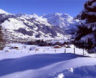 Lenk