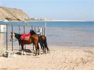 Makadi Bay