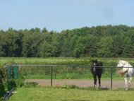 Noord-Brabant