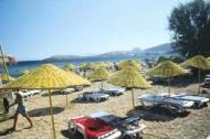 Ortakent