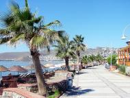 Ortakent