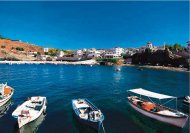 Panormo