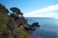 Jiba Playa de Palma