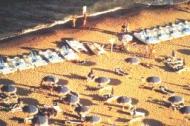 Beachmasters Rimini
