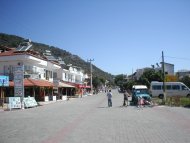 Sarigerme