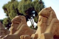 Sunweb Vliegreizen Sharm el Sheikh