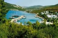 Torba