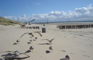Zeeland