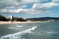 Beachmasters Zonnestrand