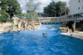Hotel Sahara en Nubia Bay
